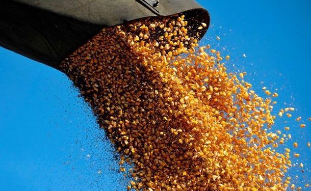 Названо найбільш експортований товар України