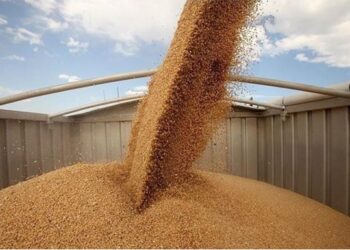 ЄС планує скоротити імпорт продукції з України