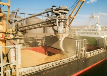 Україна скоротила експорт зерна