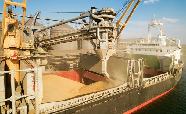 Україна скоротила експорт зерна