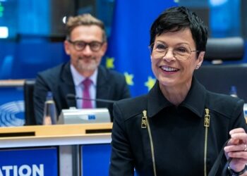 Угорщину слід переконати щодо України – Кос