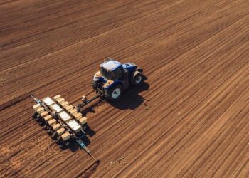 В Україні посівна площа під сільгоспкультурами на 6,1% менше, ніж торік