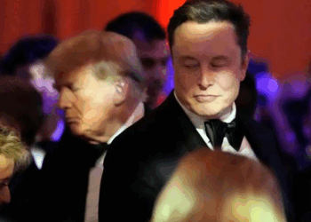 Помічники Трампа і Маска зупинили сварку шефів у соцмережах – ЗМІ