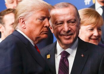 Ердоган і Трамп обговорили війну в Україні