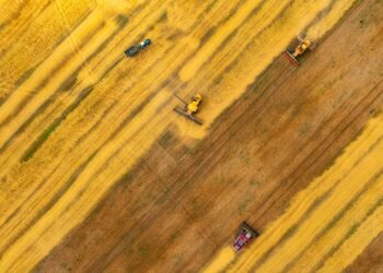 Аграрії наблизилися до збору першого мільйона тонн зерна