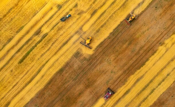 Аграрії наблизилися до збору першого мільйона тонн зерна