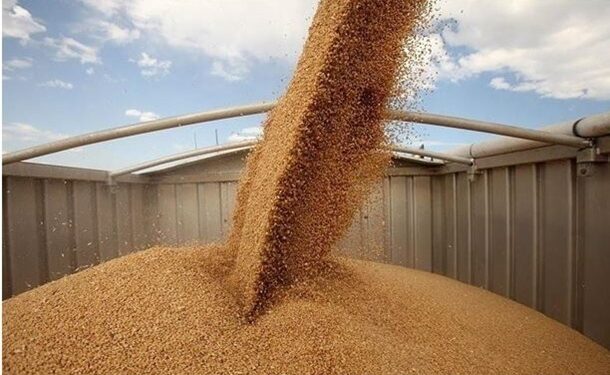 Темпи жнив в Україні істотно відстають від минулорічних