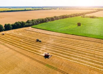В Україні зібрали понад 10 млн тонн зерна нового врожаю