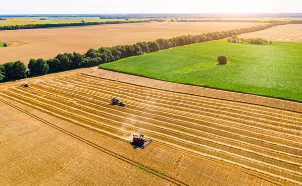 В Україні зібрали понад 10 млн тонн зерна нового врожаю