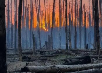 БПЛА атакували військовий аеродром у РФ – пабліки