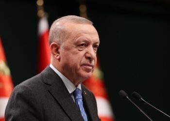 Зеленський і Путін не готові до зустрічі – Ердоган