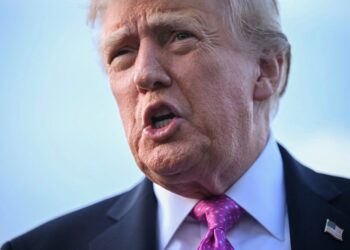 Трампа дивує ненависть між Зеленським і Путіним