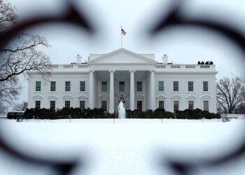 У Трампа обговорюють “Раду миру” для України – ЗМІ