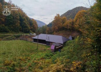 Лісничий на Закарпатті збудував собі маєток на самовільно захопленій ділянці