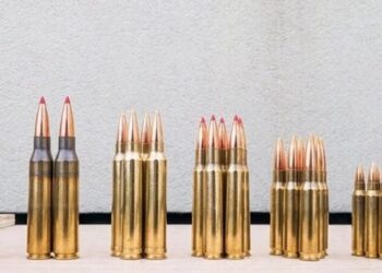 Недосконалість законодавства стримує масштабування Defence City – позиція експертів