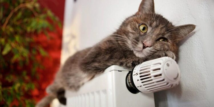 У Запоріжжі опалювальний сезон завершиться 29 березня