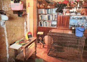 Вовк накинувся на власницю, а лисиця загинула – киянці, яка тримала у квартирі диких тварин, повідомили про підозру