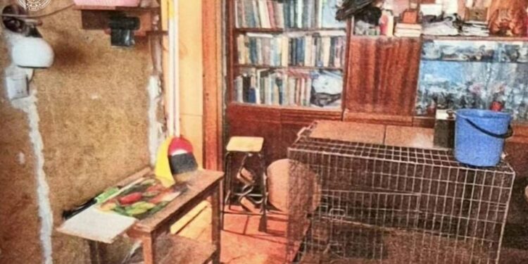 Вовк накинувся на власницю, а лисиця загинула – киянці, яка тримала у квартирі диких тварин, повідомили про підозру