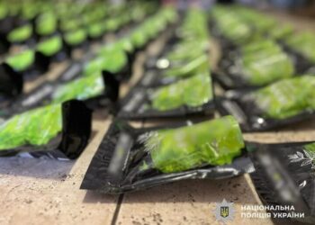 У Запоріжжі викрито масштабний наркобізнес з постачання кратому під виглядом чаю матча