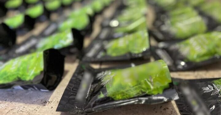 У Запоріжжі викрито масштабний наркобізнес з постачання кратому під виглядом чаю матча