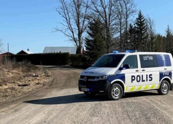 У Фінляндії впали два невідомих дрони