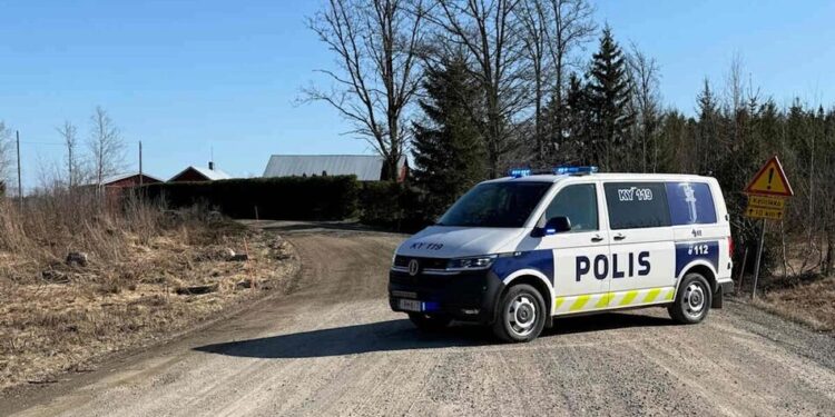 У Фінляндії впали два невідомих дрони