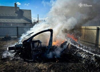 На Львівщині через природну пожежу згоріла Tesla
