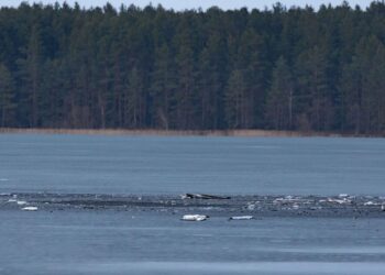 У Литву залетів і вибухнув невідомий дрон, ймовірно, з білорусі – ЗМІ