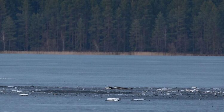 У Литву залетів і вибухнув невідомий дрон, ймовірно, з білорусі – ЗМІ