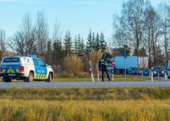 У Латвію та Естонію залетіли дрони