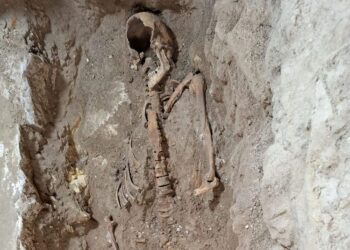 Археологи знайшли останки легендарного д’Артаньяна – ЗМІ