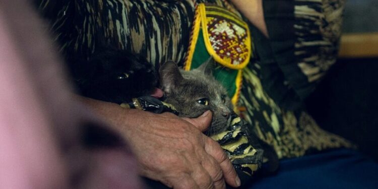 Пункти евакуації ВПО отримають компенсацію за комуналку – рішення уряду