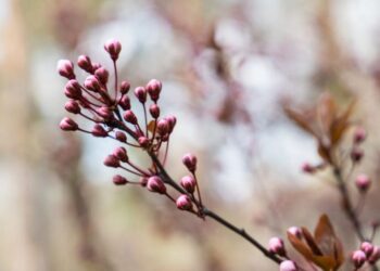 Переважно сухо і до 19° тепла – прогноз погоди на сьогодні