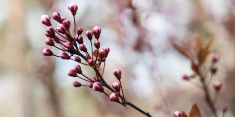 Переважно сухо і до 19° тепла – прогноз погоди на сьогодні