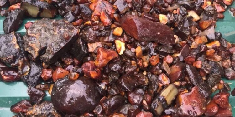 На Рівненщині викрили "тіньового куратора" незаконного видобутку бурштину на понад 350 млн грн – Генпрокурор Кравченко