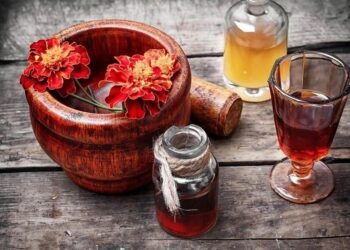 Користь чорнобривців: лікувальні властивості та застосування рослини