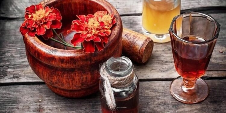 Користь чорнобривців: лікувальні властивості та застосування рослини