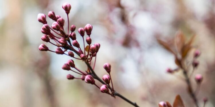 Циклон під кінець березня приніс в Україну дощі – прогноз погоди на сьогодні