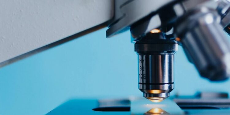 Парвовірус: що це за інфекція, як передається та коли потрібно здавати аналіз