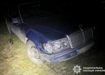 На Рівненщині автівка збила оленя-талісмана Бориса – що відомо