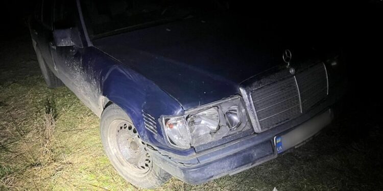 На Рівненщині автівка збила оленя-талісмана Бориса – що відомо