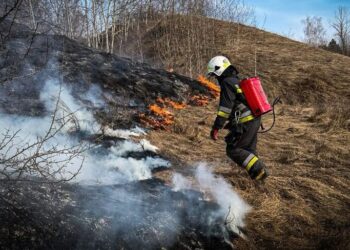 Чоловік згорів живцем під час спалювання сухої трави на Київщині – ДСНС