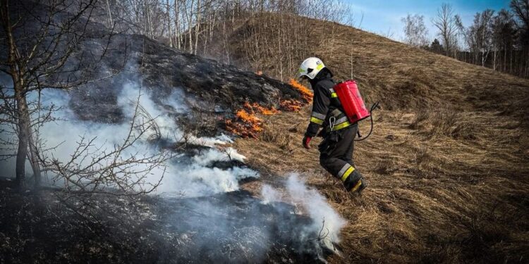 Чоловік згорів живцем під час спалювання сухої трави на Київщині – ДСНС