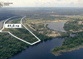 У справі екснардепа Деркача за привласнення земель у Конча-Заспі оголошено підозри