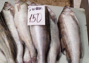 У Молдові рекомендували не вживати рибу з Дністра після забруднення річки