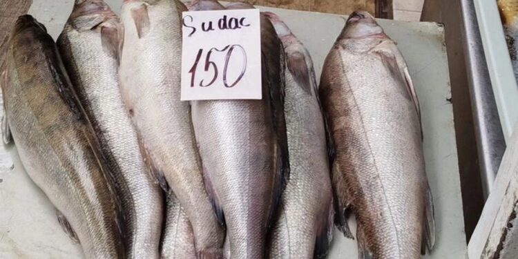 У Молдові рекомендували не вживати рибу з Дністра після забруднення річки