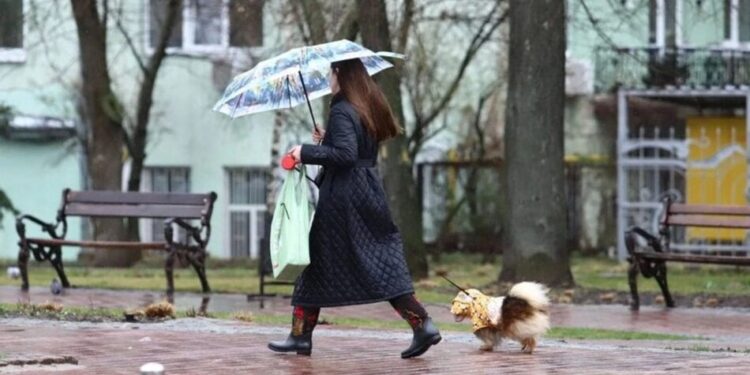 Холодна погода триватиме, у четвер ускладниться – синоптик