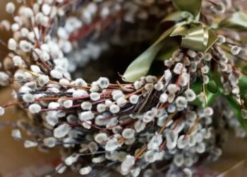 Вербна неділя – традиції, звичаї та символи свята