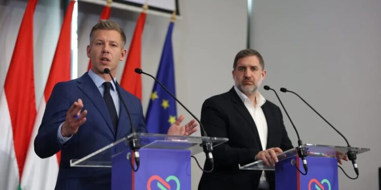 Мадяр обговорить із Зеленським повернення активів Ощадбанку лише після вступу на посаду