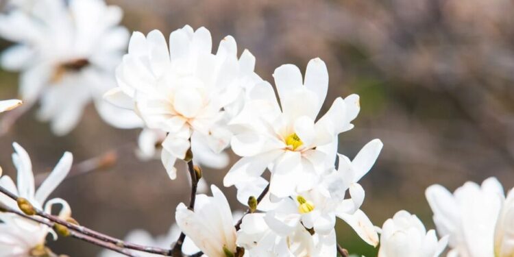 Атмосферний фронт несе дощі – прогноз погоди на сьогодні